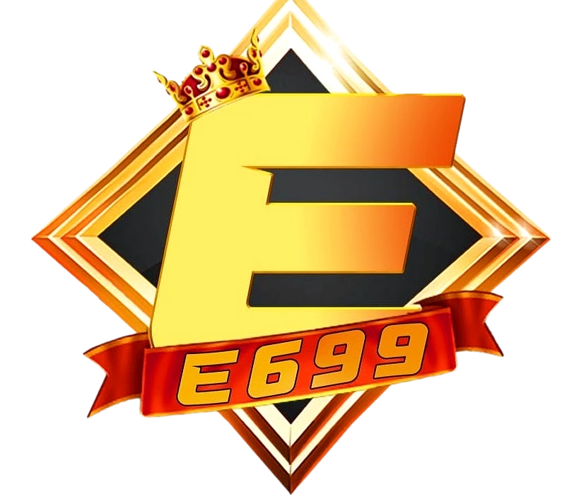 e699